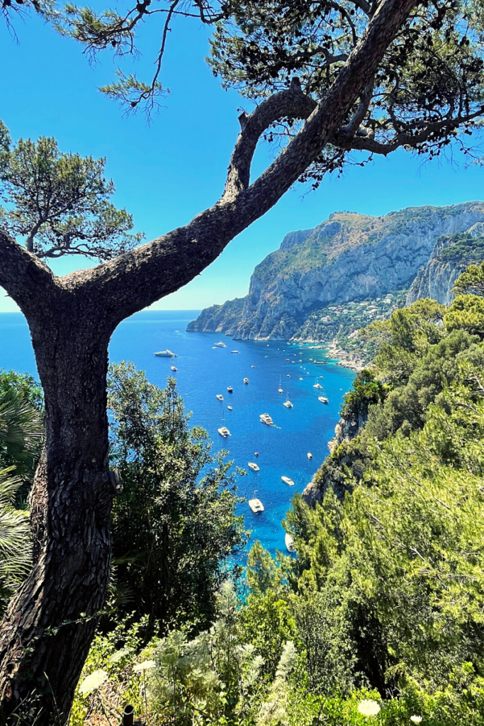 When it comes to which is better, Amalfi coast or Sicily, there are a few things to consider - but there is nothing to compare to the views from Capri. 