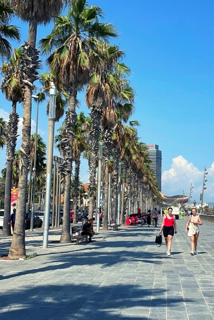 I went to Barcelona in August and it was pleasant enough to be on the beach - a great itinerary stop on the 3 day weekend road trip. 
