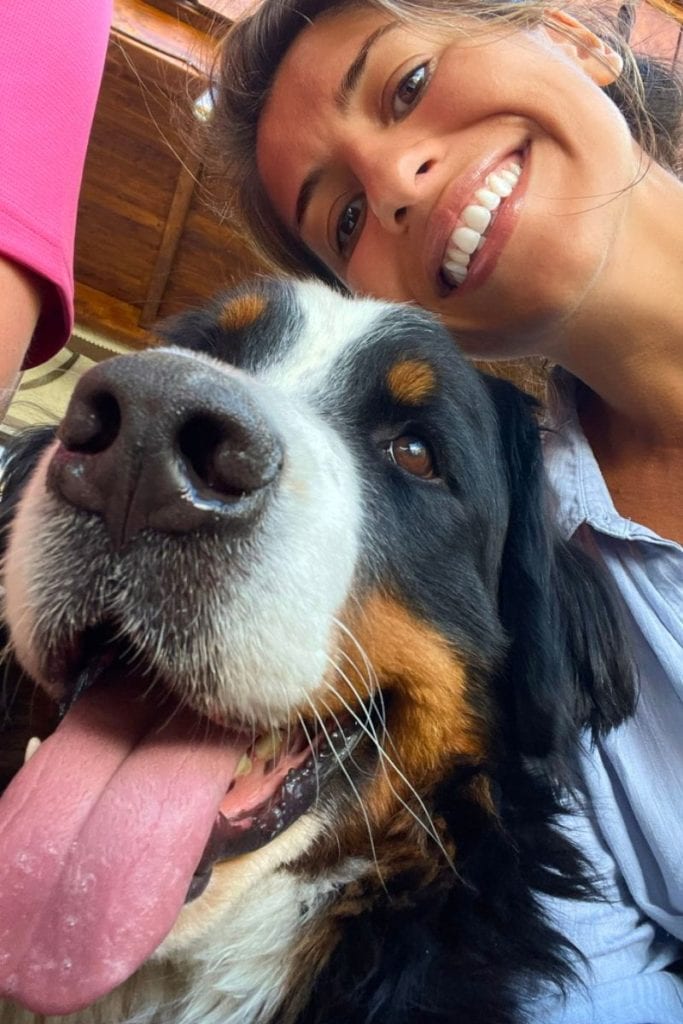 Going on a Switzerland to Italy road trip, you'll find tons of Bernese mountain dogs to join you on the hikes.