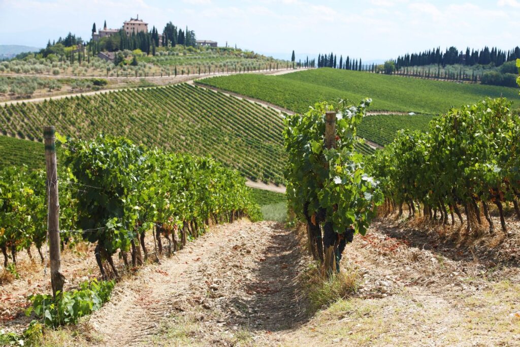 Another top destination to visit from Florence is Chianti.