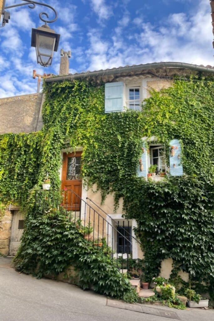 Luarmarin is one of the most beautiful villages in Provence - all the houses have these green vines growing on the side.