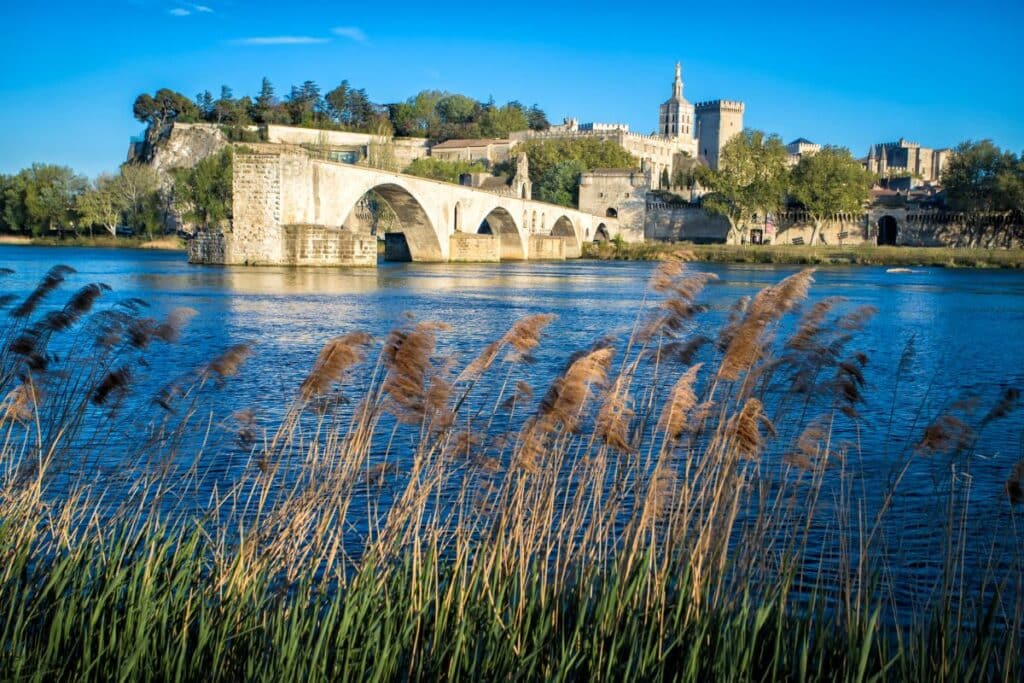 View from across the Rhone Rive of Avignon.