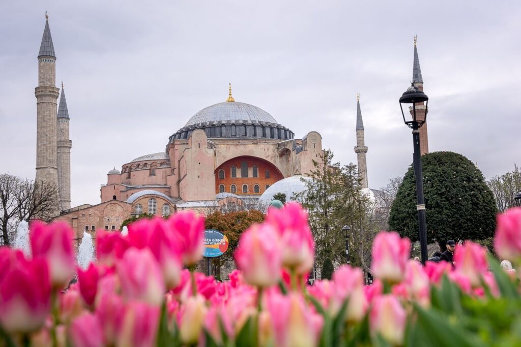 Tulips actually come from Turkey, and are blooming like crazy in April in Istanbul.