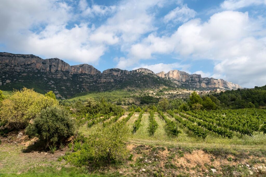 The Priorat region is just 2 hours south of Barcelona, and a great long weekend road trip.