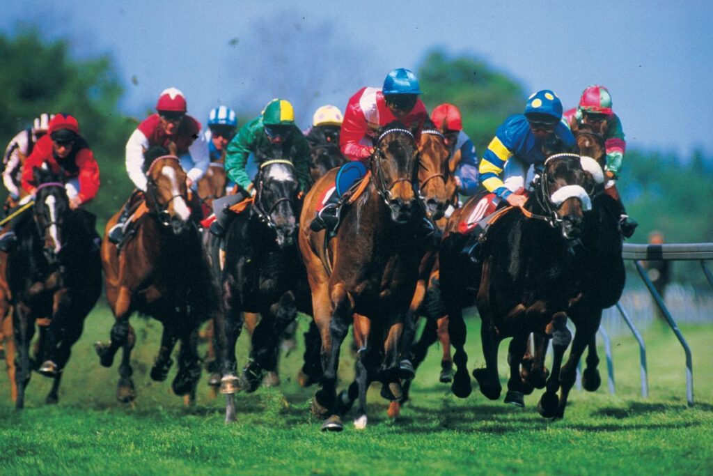 Horse racing is one of the most popular sports in England.