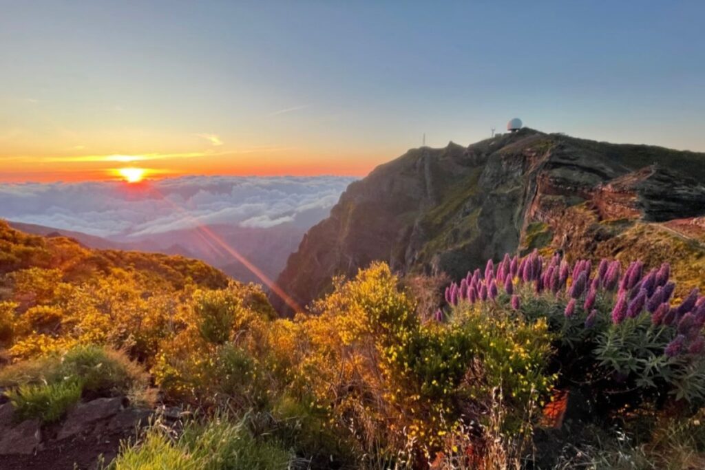 Epic hikes and things to do in madeira