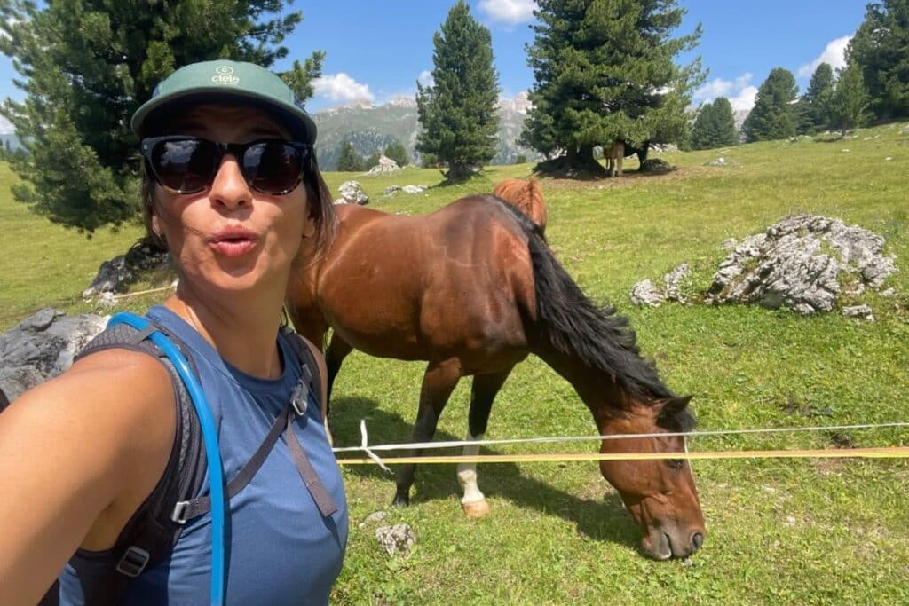 There are cows and wild horses on the trails of the Dolomites - this is in Val di Funes.