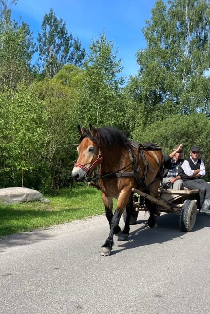 The cause of most traffic jams while driving in Romania