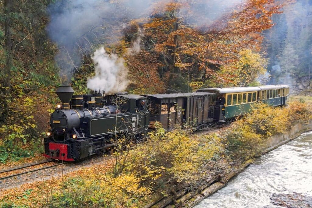 Best way to get from bucharest to brasov is by train.